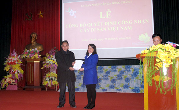 Lễ[-]công[-]nhận[-]Cây[-]Di[-]sản[-]Việt[-]Nam[-]đầu[-]Xuân[-]Quý[-]Mão
